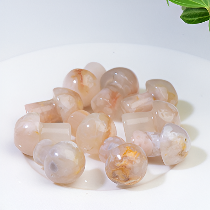 Flower Agate - Mushroom - Crystal for Love & Emotional Healing - Crystal Qi