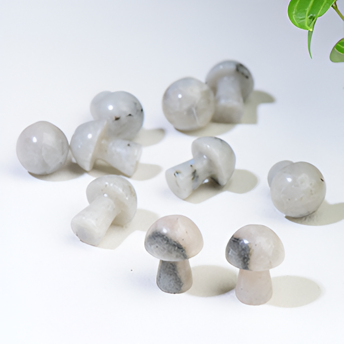 Rainbow Moonstone - Mushroom - Crystal for Motivation & Creativity - Crystal Qi